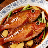 Red Grouper